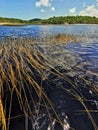 Lagoa da Coca Cola, Baia Formosa, Rio Grande do Norte, Nordeste, Brazil