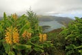 Lagoa do Fogo, crater lake