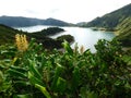 Lagoa do Fogo Lake of Fire, Azores with Hedychium gardnerianum plants