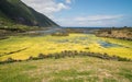 Lagoa near Fajo dos Cubres on Sao Jorge Royalty Free Stock Photo