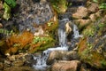 Small cold spring on the Lagonaki plateau Royalty Free Stock Photo