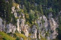 Forest on the rocks of the Lagonaki plateau Royalty Free Stock Photo