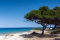 Lagoon Beach at Kassandra Peninsula, Chalkidiki, Central Macedonia, Greece