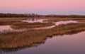 Lagoon of Caorle at sunset: spectacular sunset with a pink sky reflected in the water among the reeds