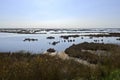 Venice lagoon Royalty Free Stock Photo