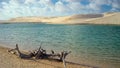 Lagoon and Dunes at Grandes Lencois, Lencois Maranhenses National Park, Maranhao, Brazil Royalty Free Stock Photo