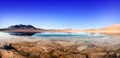 Lagoon flamingo bolivia