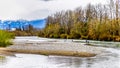 The Great Blue Heron Nature Reserve near Chilliwack, British Columbia, Canada Royalty Free Stock Photo