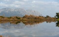 The lagoon of Messolonghi. Is the largest lagoon system in Greece. Royalty Free Stock Photo