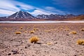 Lagoon Miscanti close to cerro Miscanti Royalty Free Stock Photo