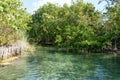 The lagoon of Ojo at Holbox island Royalty Free Stock Photo