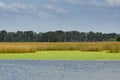 Lagoon in the Pampas