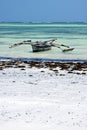 In the lagoon relax of zanzibar africa coastline boat piragu