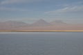 Lagoon saltwater, Chile