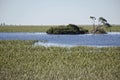 Lagoon sanctuary of South Australia Royalty Free Stock Photo