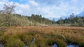 Lagoon and Wetlands In Western Washington State