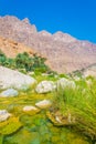 Lagoon with turqoise water in Wadi Tiwi in Oman