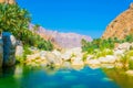 Lagoon with turqoise water in Wadi Tiwi in Oman