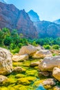 Lagoon with turqoise water in Wadi Tiwi in Oman