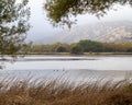 Lagoon Valley Park lake overview from hill Royalty Free Stock Photo