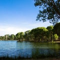 Water from the Verde River fills the lagoon, or marsh, at Dead Horse Ranch State Park near Cottonwood, Arizona Royalty Free Stock Photo