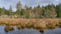 Lagoon In Western Washington State USA