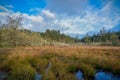 Lagoon and Wetlands In Western Washington State