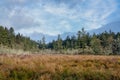 Lagoon and Wetlands In Western Washington State