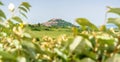 Lagopesole in Basilicata, Italy Royalty Free Stock Photo