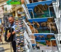 Lagos, Portugal - 15.07.2017. Postcards and a street musician in the background, in the charming historic center of Lagos, in