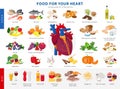 Lagre collection of healthy foods for heart health and unhealthy food icons in flat design isolated on white background Royalty Free Stock Photo