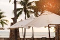 Lagre umbrellas on the sunset beach background. Royalty Free Stock Photo