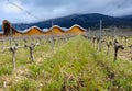 Laguardia, Alava, Spain. March 30, 2018: Vineyards of the wine cellar of Rioja premium called Ysios and part of the facade, with h