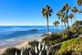Laguna Beach ocean shoreline with palm trees, California, USA