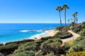 Laguna Beach ocean shoreline with palm trees, California, USA