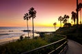 Laguna Beach ocean sunset with palm trees, California, USA