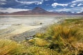 Laguna Blanca at Siloli desert & x28;Bolivia& x29;