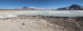 Laguna Blanca White lagoon and Licancabur volcano, Bolivia Royalty Free Stock Photo