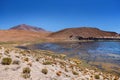 Laguna Canapa in Altiplano a salt lake, Bolivia