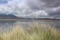 Laguna Capina, Atacama, Bolivia Royalty Free Stock Photo