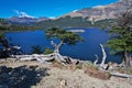 Laguna Capri close Fitz Roy, El Chalten, Patagonia, Argentina Royalty Free Stock Photo