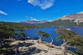 Laguna Capri close Fitz Roy, El Chalten, Patagonia, Argentina Royalty Free Stock Photo