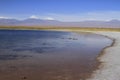 Laguna Cejar, Atacama, Chile