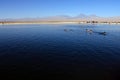 The Laguna Cejar, Chile