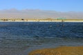 The Laguna Cejar, Chile