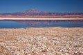 Laguna Chaxa, Chile Royalty Free Stock Photo