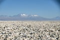 Laguna Chaxa, Chile Royalty Free Stock Photo