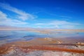 Laguna Chaxa in the National reserve Los Flamencos Royalty Free Stock Photo