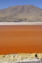 Laguna Colorada, Altiplano, Bolivian Andes Royalty Free Stock Photo