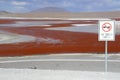 Laguna Colorada, Altiplano, Bolivian Andes Royalty Free Stock Photo